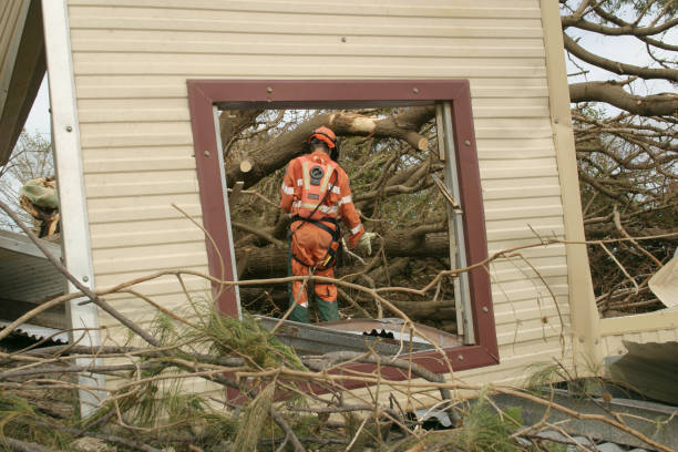 How Our Tree Care Process Works  in  Reidville, SC